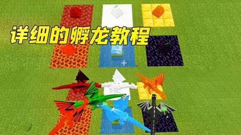 我的世界的龙蛋怎么孵[图1]