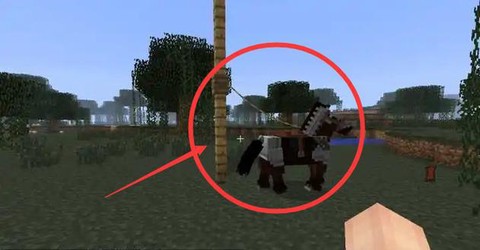 我的世界怎么栓动物[图2]