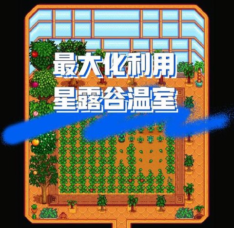 星露谷物语怎么温室[图1]