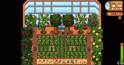 星露谷物语怎么温室[图2]